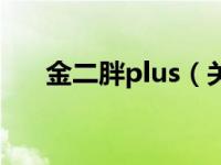 金二胖plus（关于金二胖plus的介绍）