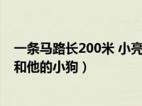 一条马路长200米 小亮和他的小狗（一条马路长200米小亮和他的小狗）