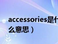 accessories是什么软件（accessories是什么意思）