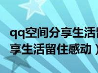 qq空间分享生活留住感动电脑版（qq空间 分享生活留住感动）