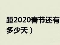 距2020春节还有几天（距离2020年春节还有多少天）