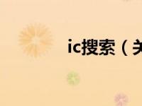 ic搜索（关于ic搜索的介绍）