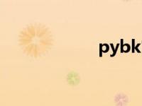 pybk官网（pybk）