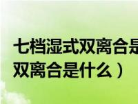 七档湿式双离合是什么是手动挡吗（七档湿式双离合是什么）