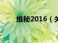 维秘2016（关于维秘2016的介绍）