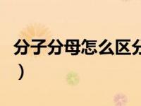 分子分母怎么区分谁除谁（分子分母怎么区分）