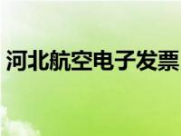 河北航空电子发票（河北航信电子发票平台）