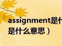 assignment是什么意思中文（assignment是什么意思）