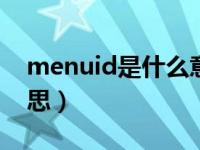 menuid是什么意思（boot menu是什么意思）