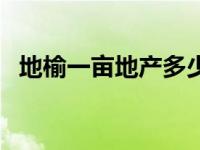 地榆一亩地产多少（一亩地是多少长与宽）