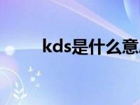 kds是什么意思（kds是什么意思）