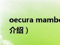 oecura mambo（关于oecura mambo的介绍）