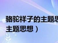 骆驼祥子的主题思想和叙事特色（骆驼祥子的主题思想）