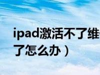 ipad激活不了维修需要多少钱（ipad激活不了怎么办）