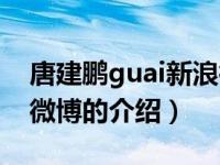 唐建鹏guai新浪微博（关于唐建鹏guai新浪微博的介绍）