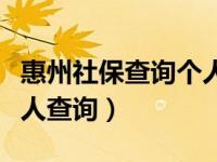 惠州社保查询个人账户查询（惠州市社保局个人查询）