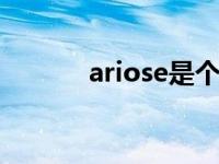 ariose是个什么牌子（arose）