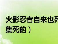 火影忍者自来也死没死（火影忍者自来也第几集死的）