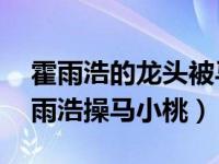 霍雨浩的龙头被马小桃㖭夹了h（浩东h吧霍雨浩操马小桃）