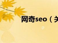 网奇seo（关于网奇seo的介绍）