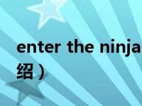 enter the ninja（关于enter the ninja的介绍）