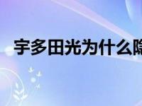 宇多田光为什么隐退（宇多田光怎么死的）