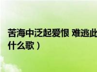 苦海中泛起爱恨 难逃此世间命运什么意思（苦海泛起爱恨是什么歌）