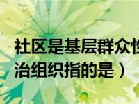 社区是基层群众性自治组织吗（基层群众性自治组织指的是）