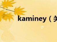 kaminey（关于kaminey的介绍）