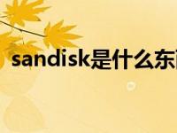 sandisk是什么东西（sandisk是什么牌子）