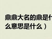 鼎鼎大名的鼎是什么意思（鼎鼎大名的鼎是什么意思是什么）