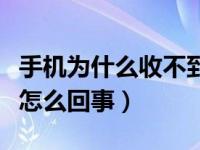 手机为什么收不到短信（苹果手机收不到短信怎么回事）