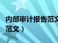 内部审计报告范文及模板大全（内部审计报告范文）