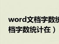 word文档字数统计在哪个功能区（word文档字数统计在）