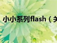 小小系列flash（关于小小系列flash的介绍）