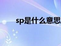 sp是什么意思解释（sp是什么意思）