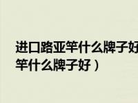 进口路亚竿什么牌子好?进口路亚竿品牌排行榜（进口路亚竿什么牌子好）