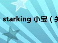 starking 小宝（关于starking 小宝的介绍）