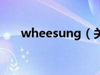 wheesung（关于wheesung的介绍）