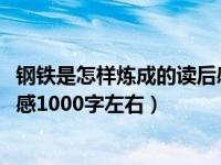 钢铁是怎样炼成的读后感1000多字（钢铁是怎样炼成的读后感1000字左右）