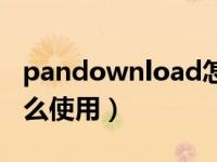 pandownload怎么使用（pandownload怎么使用）