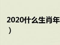 2020什么生肖年是什么年（2020什么年生肖）