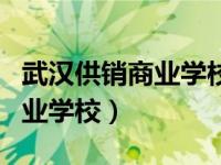 武汉供销商业学校舞蹈表演专业（武汉供销商业学校）