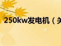 250kw发电机（关于250kw发电机的介绍）