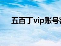 五百丁vip账号密码（五百丁官网登录）