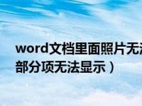 word文档里面照片无法显示（国网电子商务平台登录里面部分项无法显示）