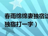 春雨绵绵妻独宿这句话来自于谁（春雨绵绵妻独宿打一字）