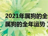 2021年属狗的全年运势及每月运程（2021年属狗的全年运势）