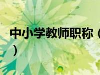 中小学教师职称（关于中小学教师职称的介绍）