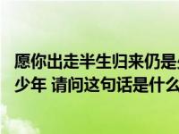 愿你出走半生归来仍是少年啥意思（愿你出走半生 归来仍是少年 请问这句话是什么意思）